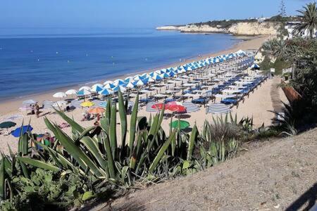 Casa Beira Mar Daire Armação de Pêra Dış mekan fotoğraf